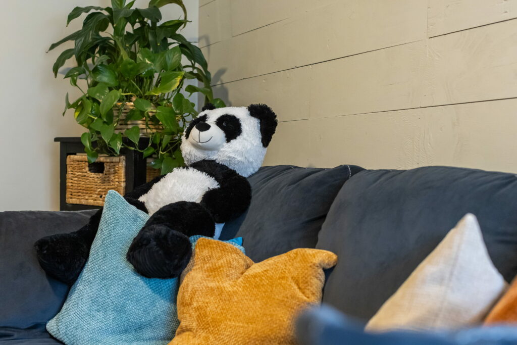Kids Therapy Room
